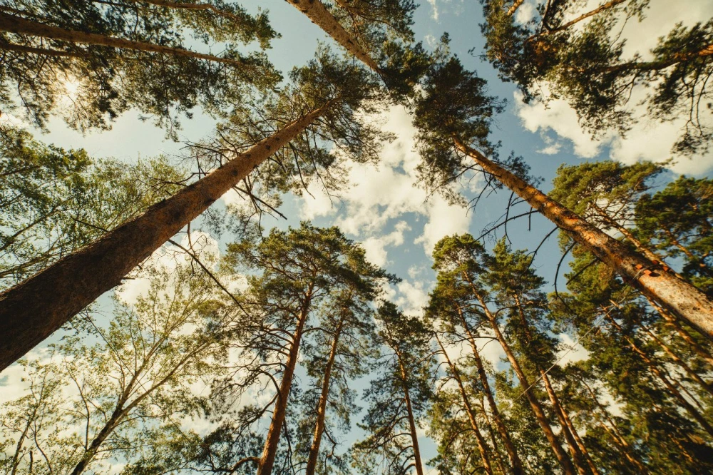 База отдыха Галдым - фото 19