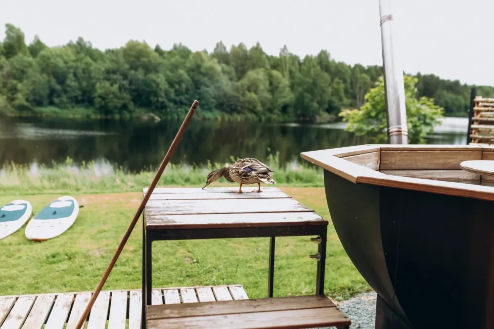 tariff Аренда бани с чаном