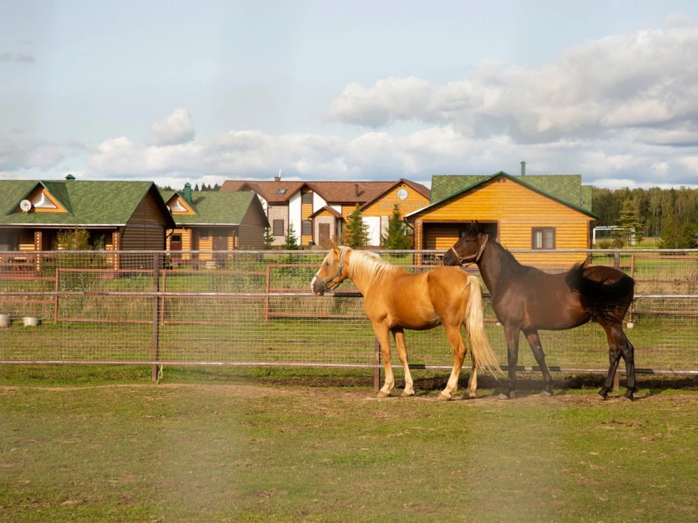База отдыха и экотуризма Головинка - фото 20