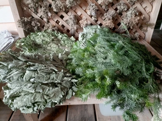 LES - территория отдыха - фото 13