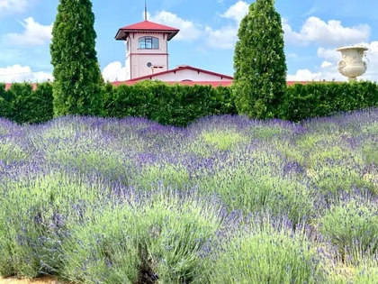 Долина Лефкадия - фото 16