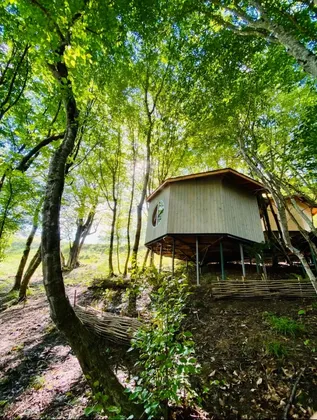 Глэмпинг Perma park - фото 18