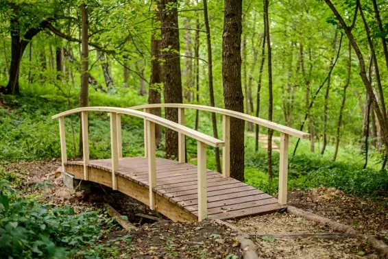 Загородный СПА отель Welna Eco Spa Resort - фотография Загородный СПА отель Welna Eco Spa Resort