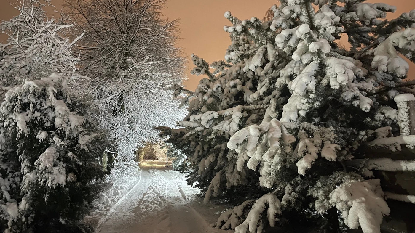 Шале Завидово Гольф - фото 15