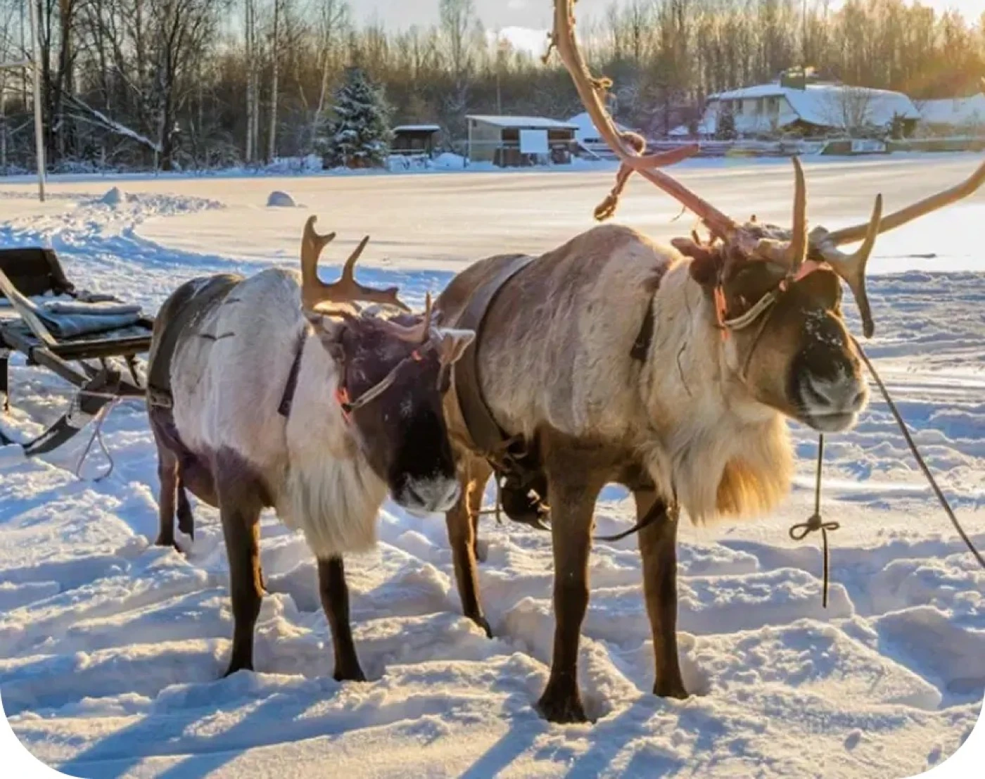 Юрьевское подворье - фото 10