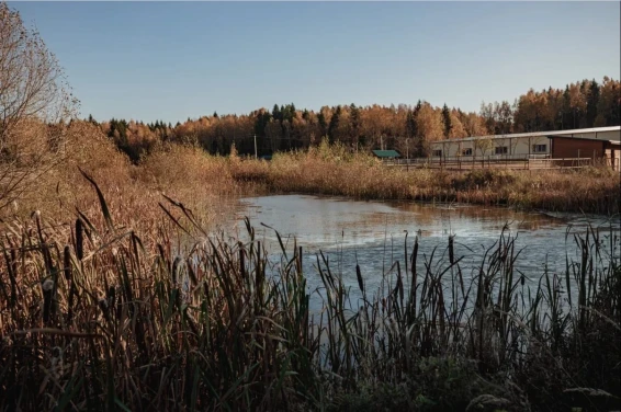 База отдыха и экотуризма Головинка - фото 10