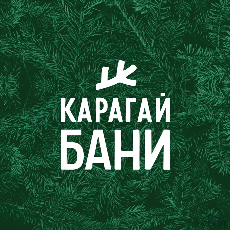 Карагай - фотография Карагай