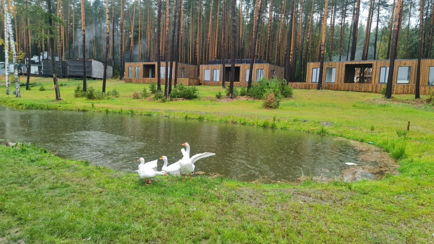 Парк-отель Рассвет - фото 9