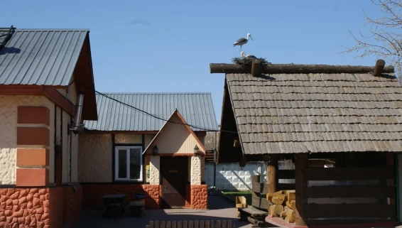 Деревенские Бани - фото 17