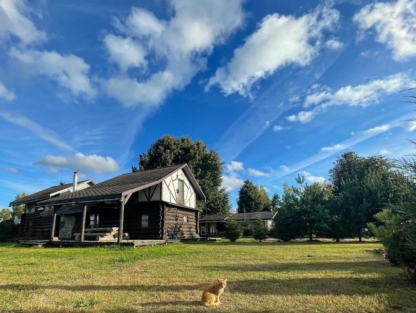 Шале Завидово Гольф - фото 6