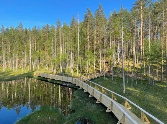 Глэмпинг Мистик Хиллс