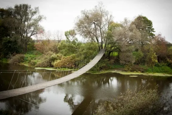 Глэмпинг Pine River Park - фотография Глэмпинг Pine River Park