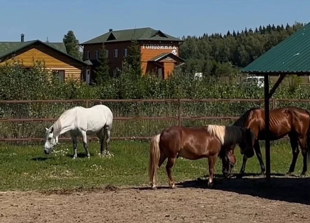 База отдыха и экотуризма Головинка - фото 23