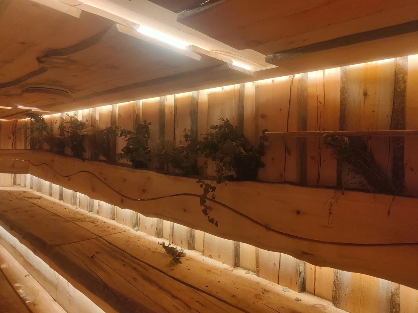 Городские бани «Дружба» - фото 3