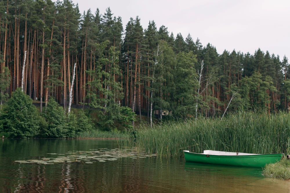 База отдыха Галдым - фото 17