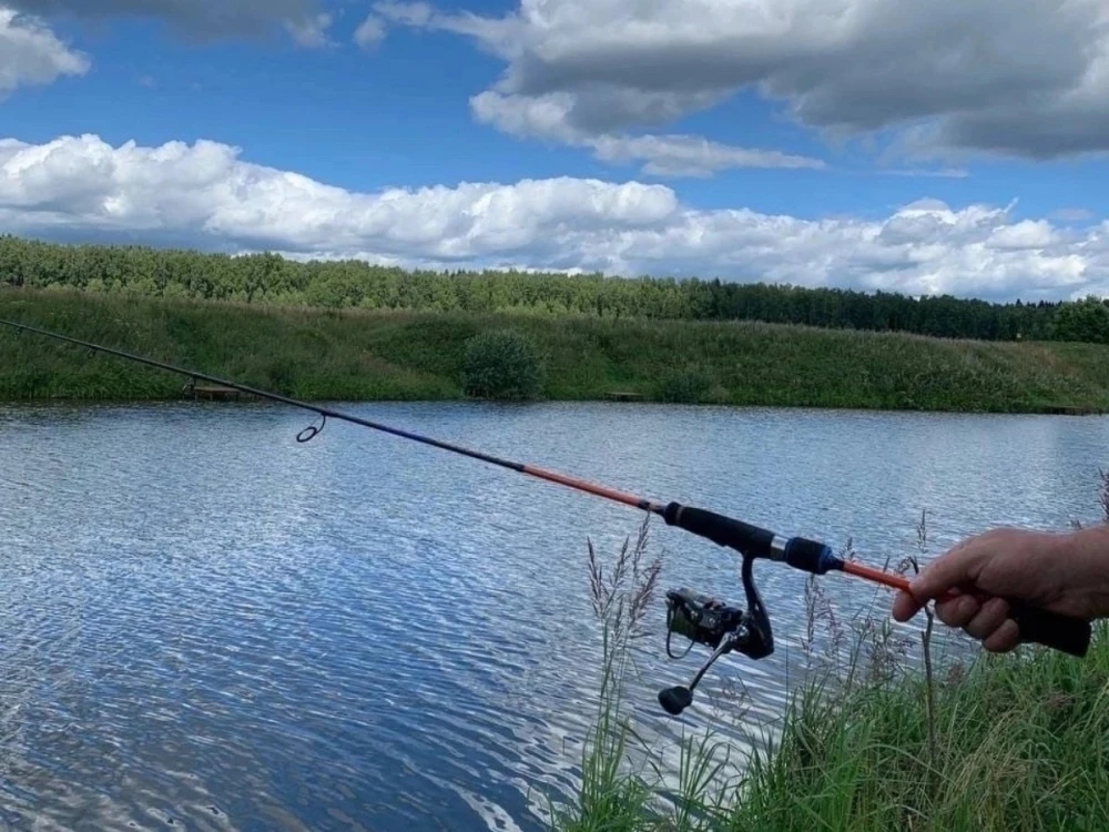 База отдыха и экотуризма Головинка - фото 25