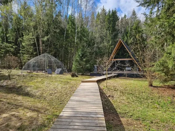Глэмпинг Private – Forest - фотография Глэмпинг Private – Forest