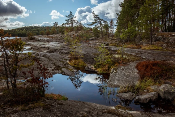 Глэмпинг Lago Ladoga - фото 6