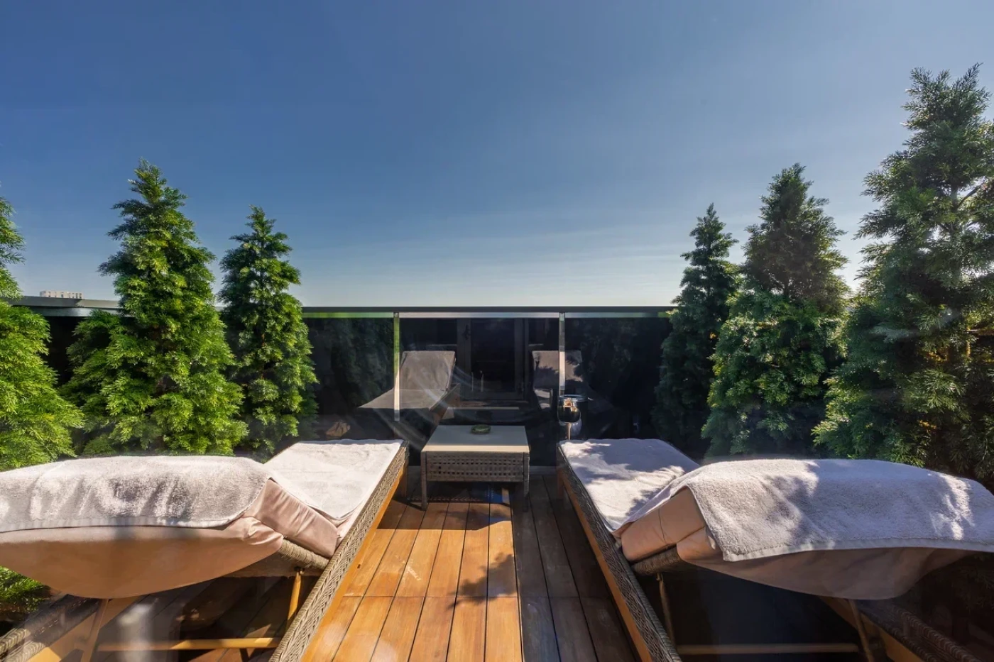 Баня на крыше - фото 18