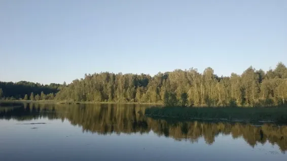 Авиадеревня «Михеево Старт»