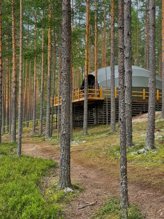 Глэмпинг Мистик Хиллс