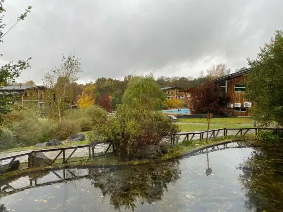Загородный СПА отель Welna Eco Spa Resort - фотография Загородный СПА отель Welna Eco Spa Resort